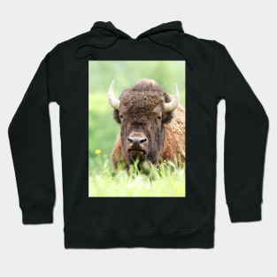 Bison Hoodie